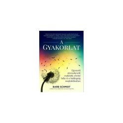 Barb Schmidt - A gyakorlat